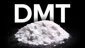 The Power & Downfall of the DMT